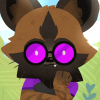 user's avatar