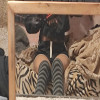 user's avatar