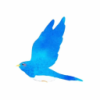 user's avatar