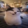 user's avatar