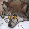 user's avatar