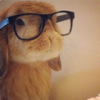 user's avatar