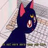 user's avatar