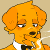 user's avatar