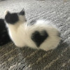 user's avatar