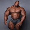 user's avatar